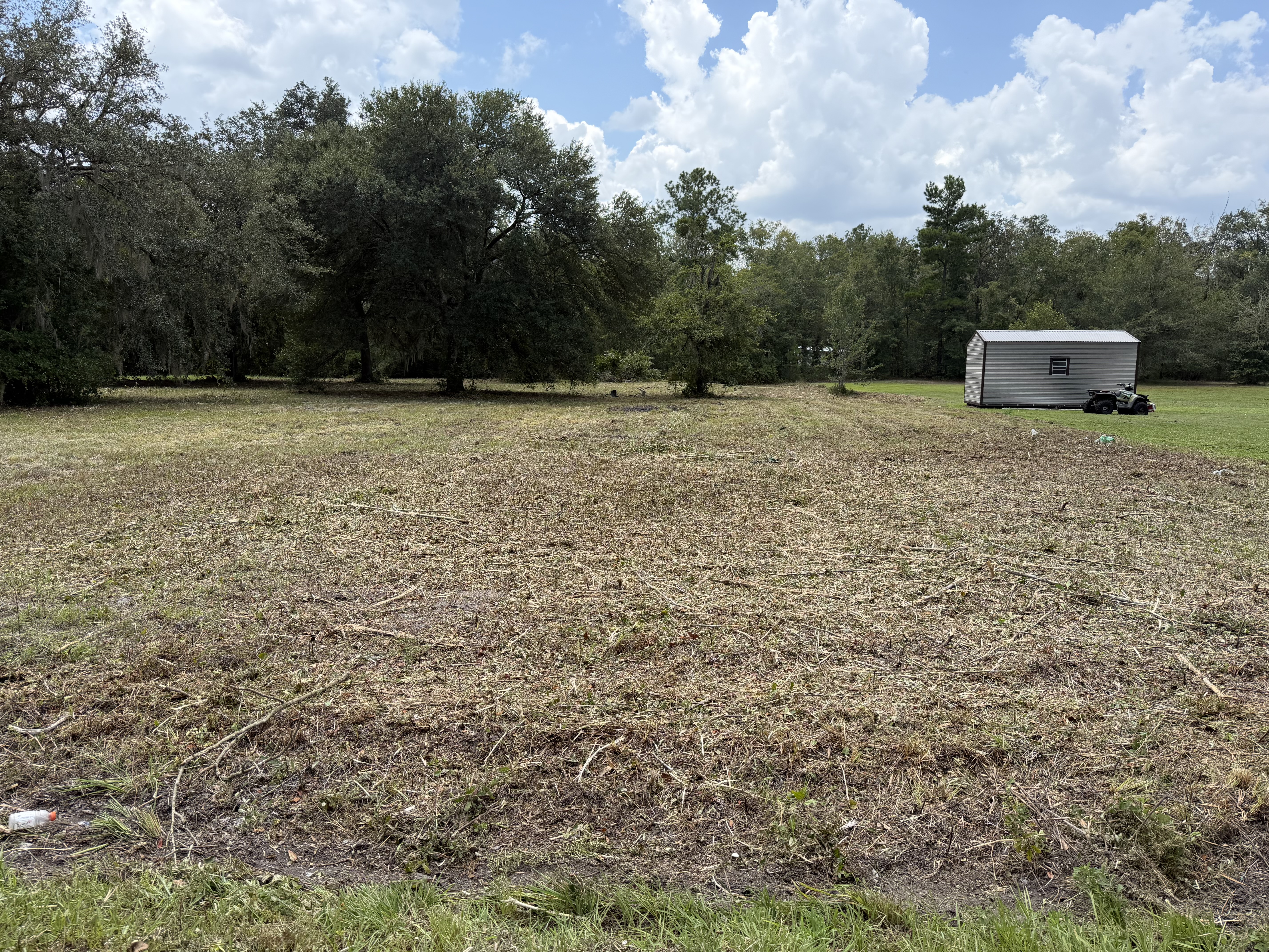 After: cleared and maintained property