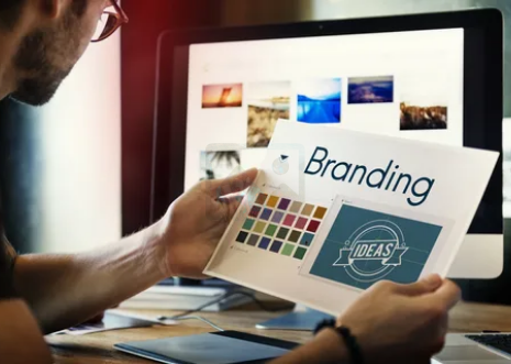 Brand board with color and typography options