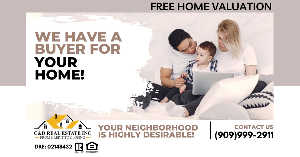 C&D Real Estate Inc - Business Photo