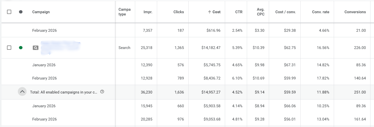 Google Ads Result from a Carpet Cleaner in the South