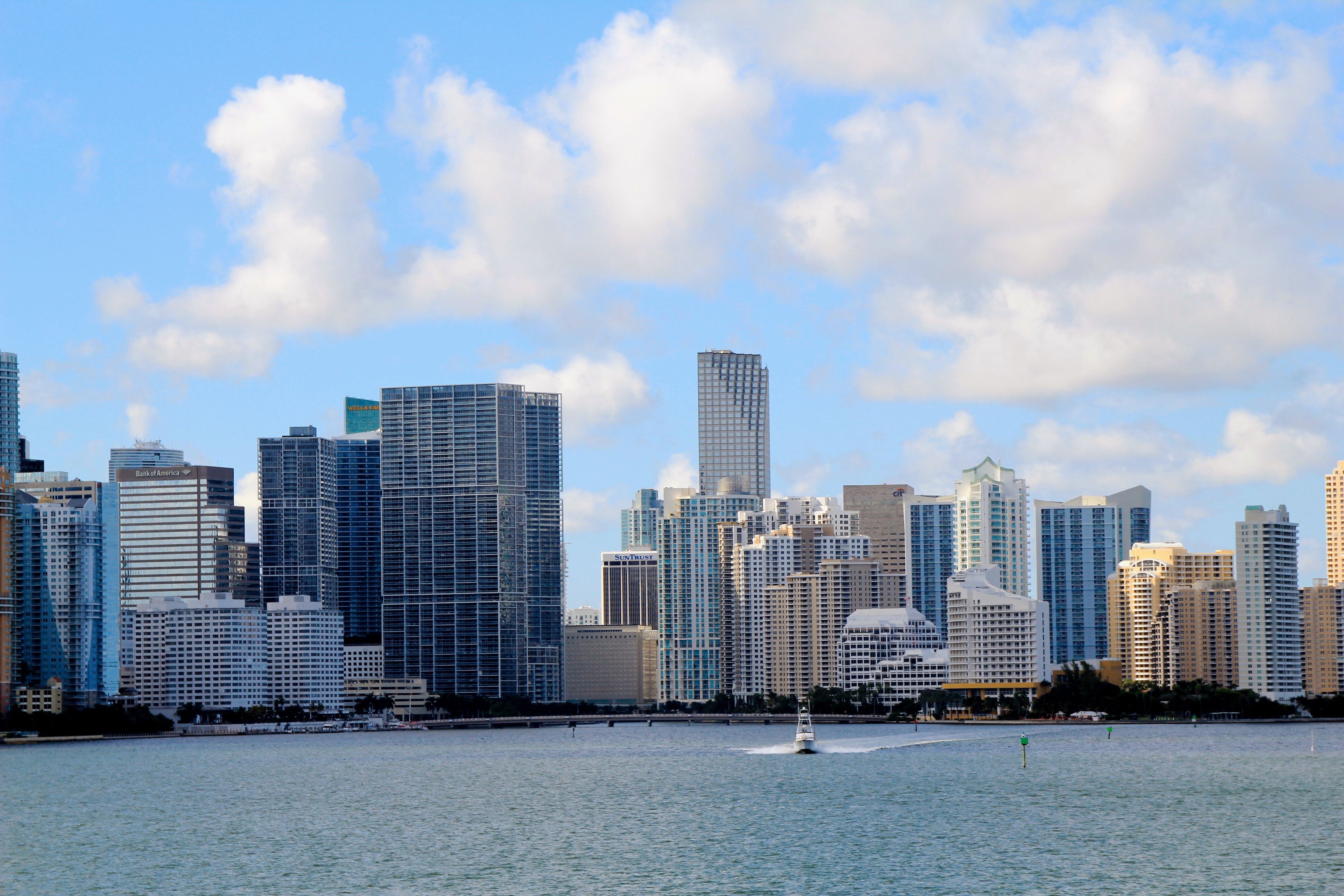 Miami skyline