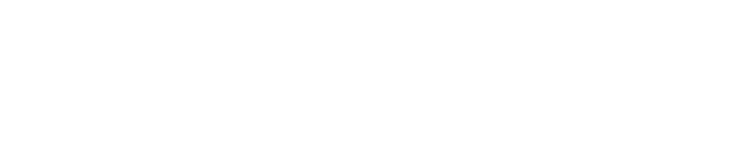Effective Web Solutions Logo