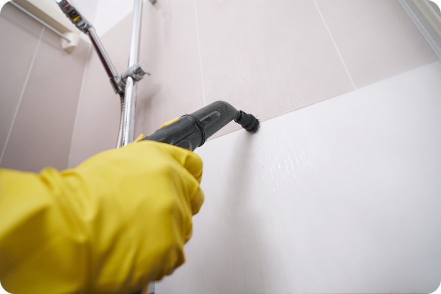 Tile and Grout Cleaning