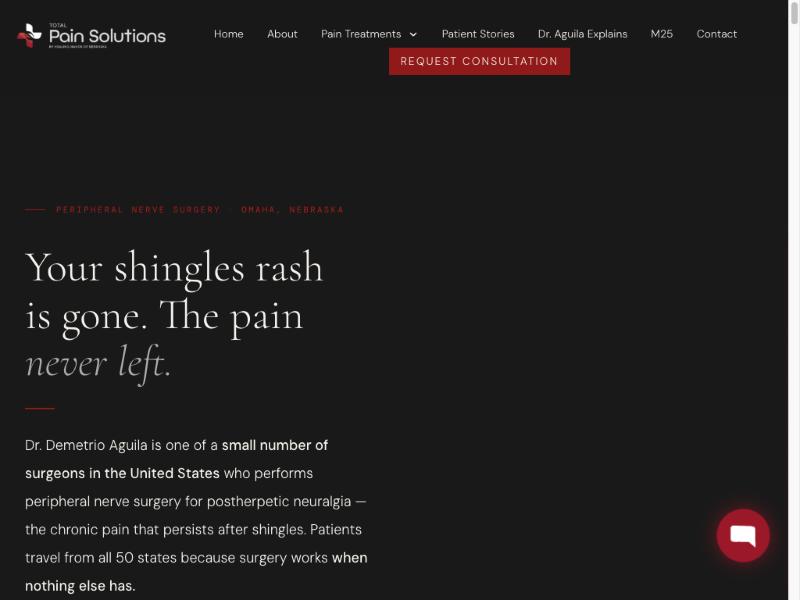 Total Pain Solutions website preview