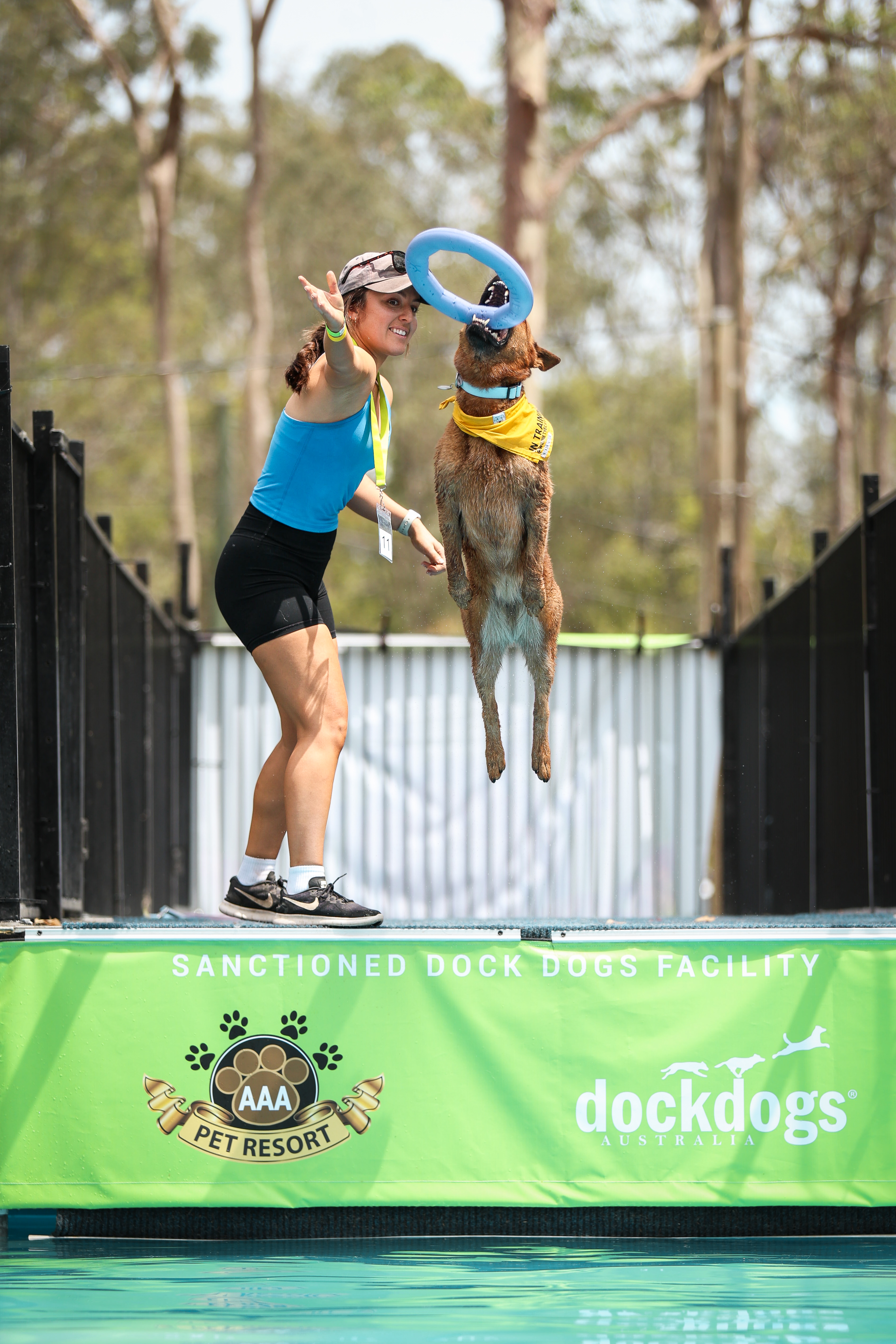 Sanctioned DockDogs competition at AAA Pet Resort