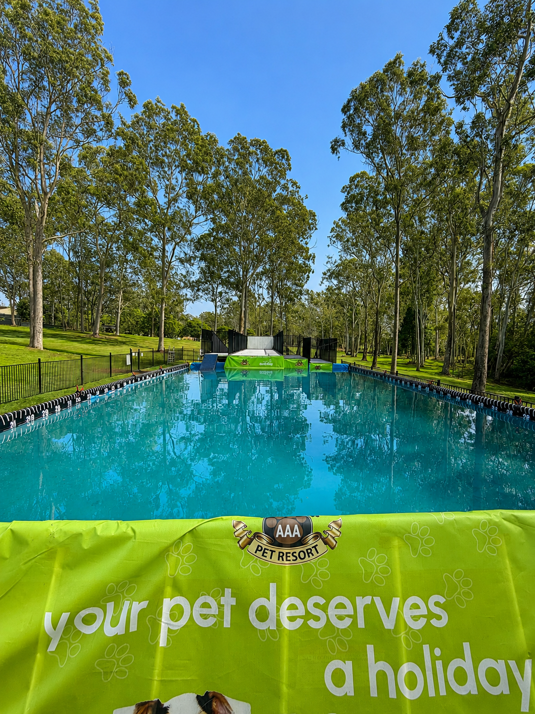 DockDogs Pool at AAA Pet Resort