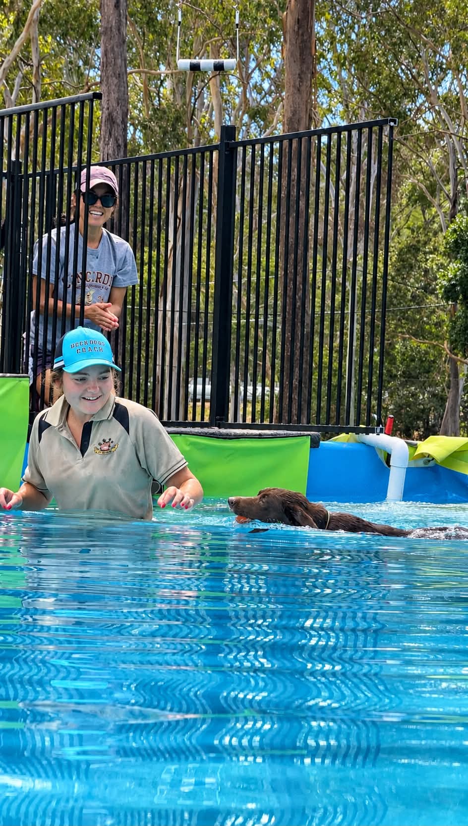 Dog enjoying the DockDogs Pool
