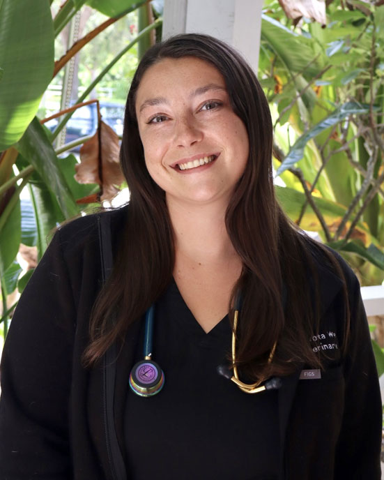 Dr. Dakota Weber