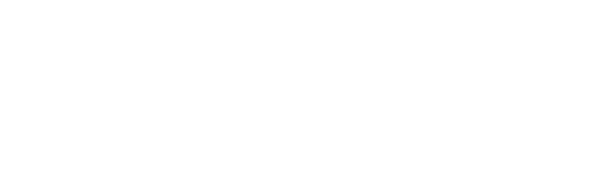 Vedacit