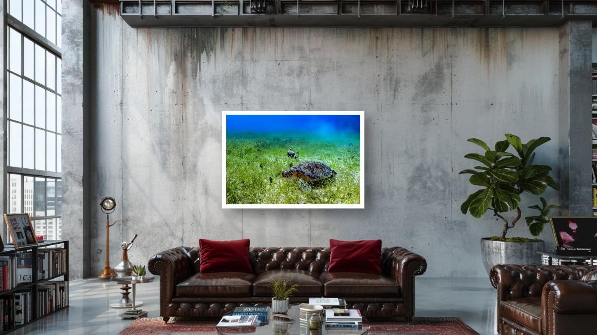 HERO: A diver swimming gracefully with a majestic sea turtle in crystal-clear blue water, sunlight filtering from above, creating a dreamlike and serene atmosphere.