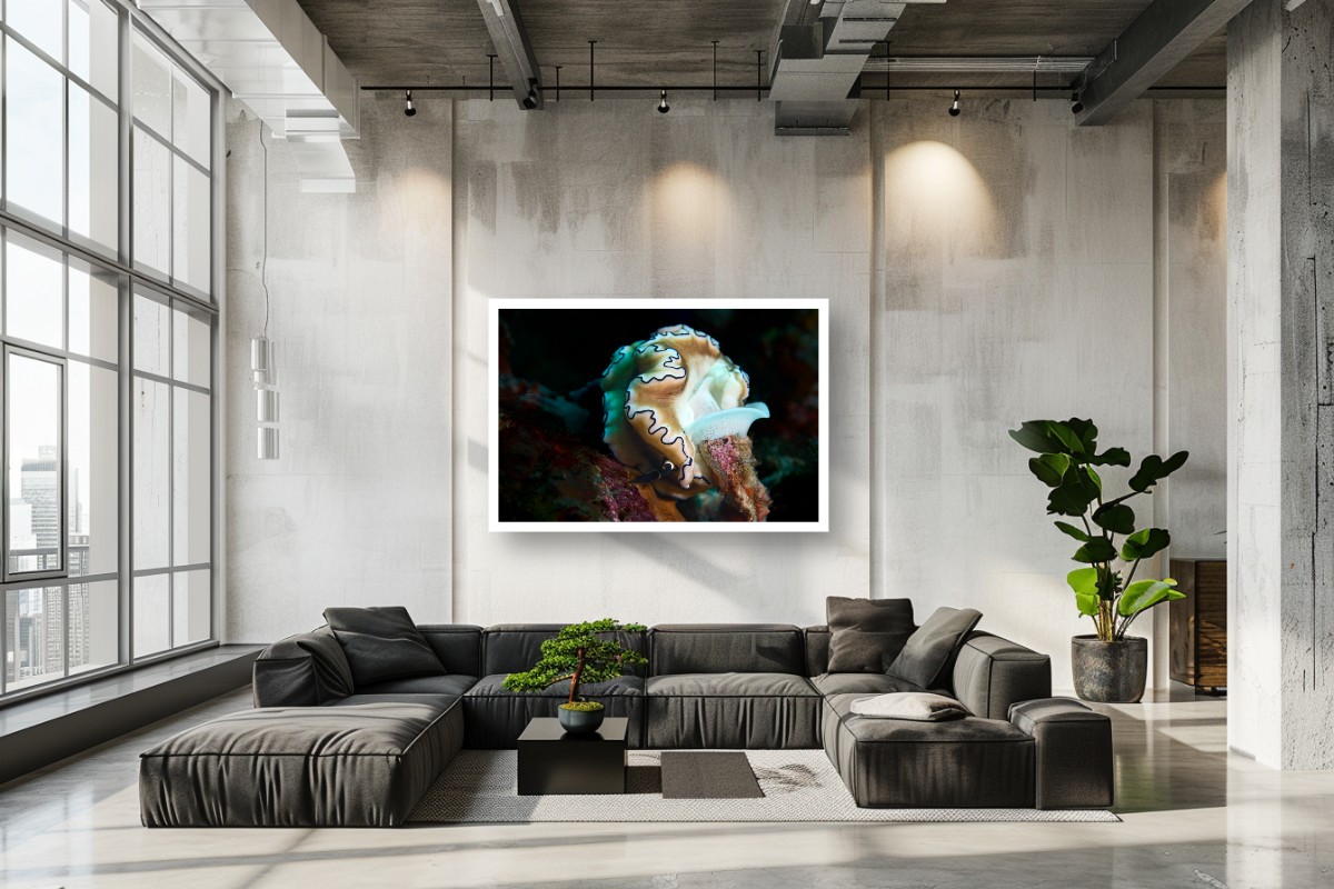 Underwater fine art prints; 
