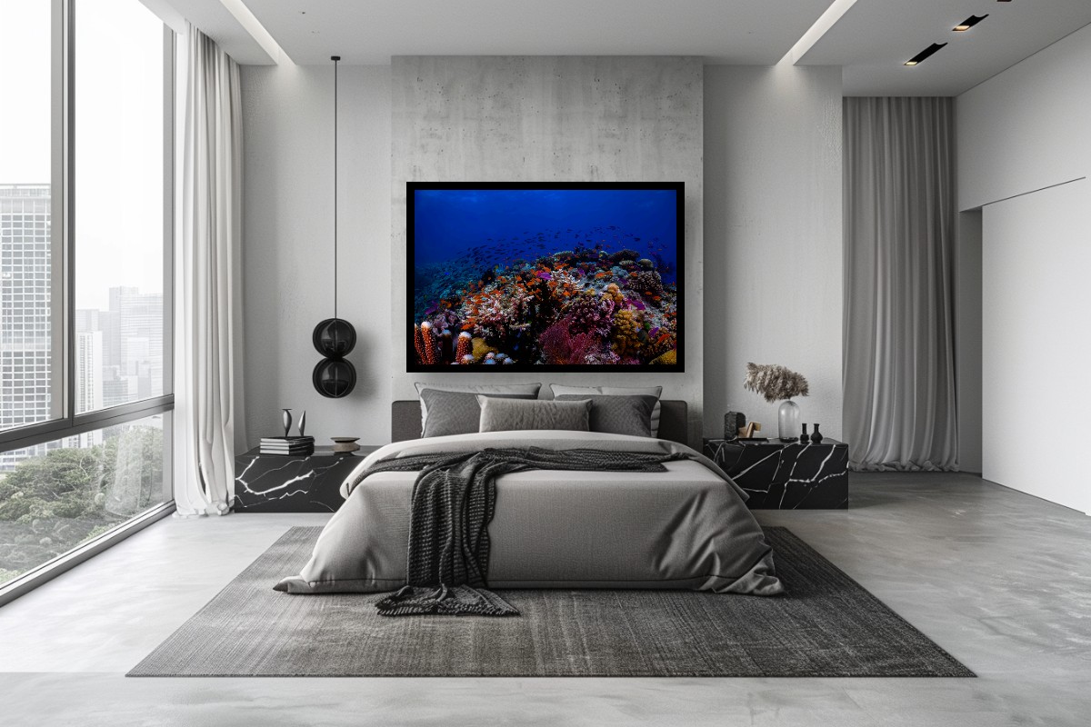 SECTION: A diver's silhouette against a vibrant coral reef, with schools of fish swimming around, illustrating the beauty and diversity of a healthy underwater ecosystem.