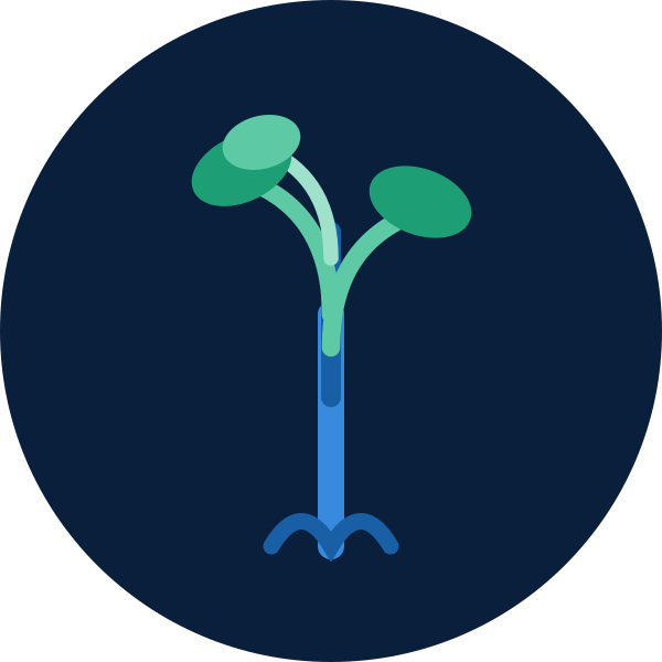 Root Evolve