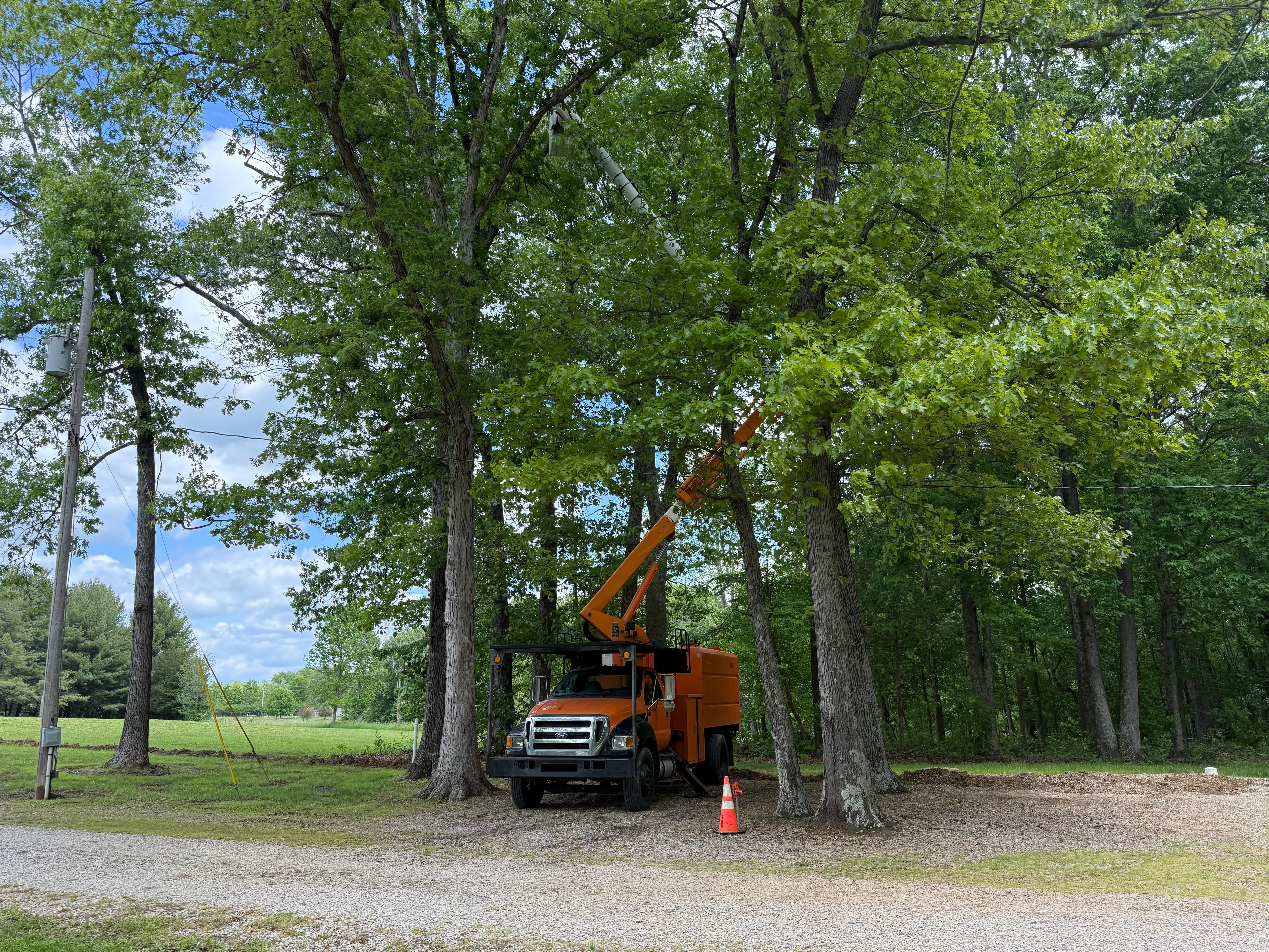 MMM Tree Service bucket truck performing elevated tree work in Aurora, Indiana
