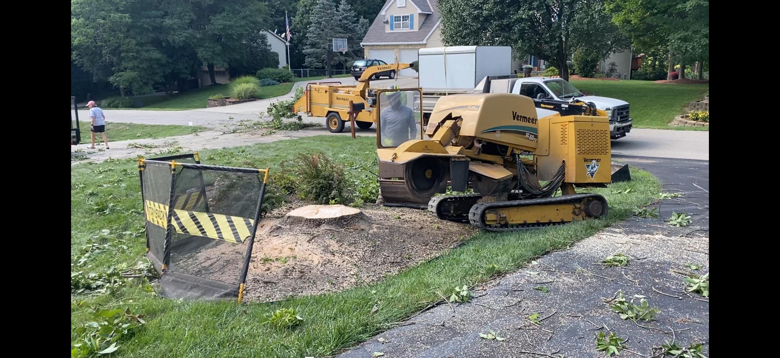 MMM Tree Service stump grinding at a residential property in Burlington, Kentucky
