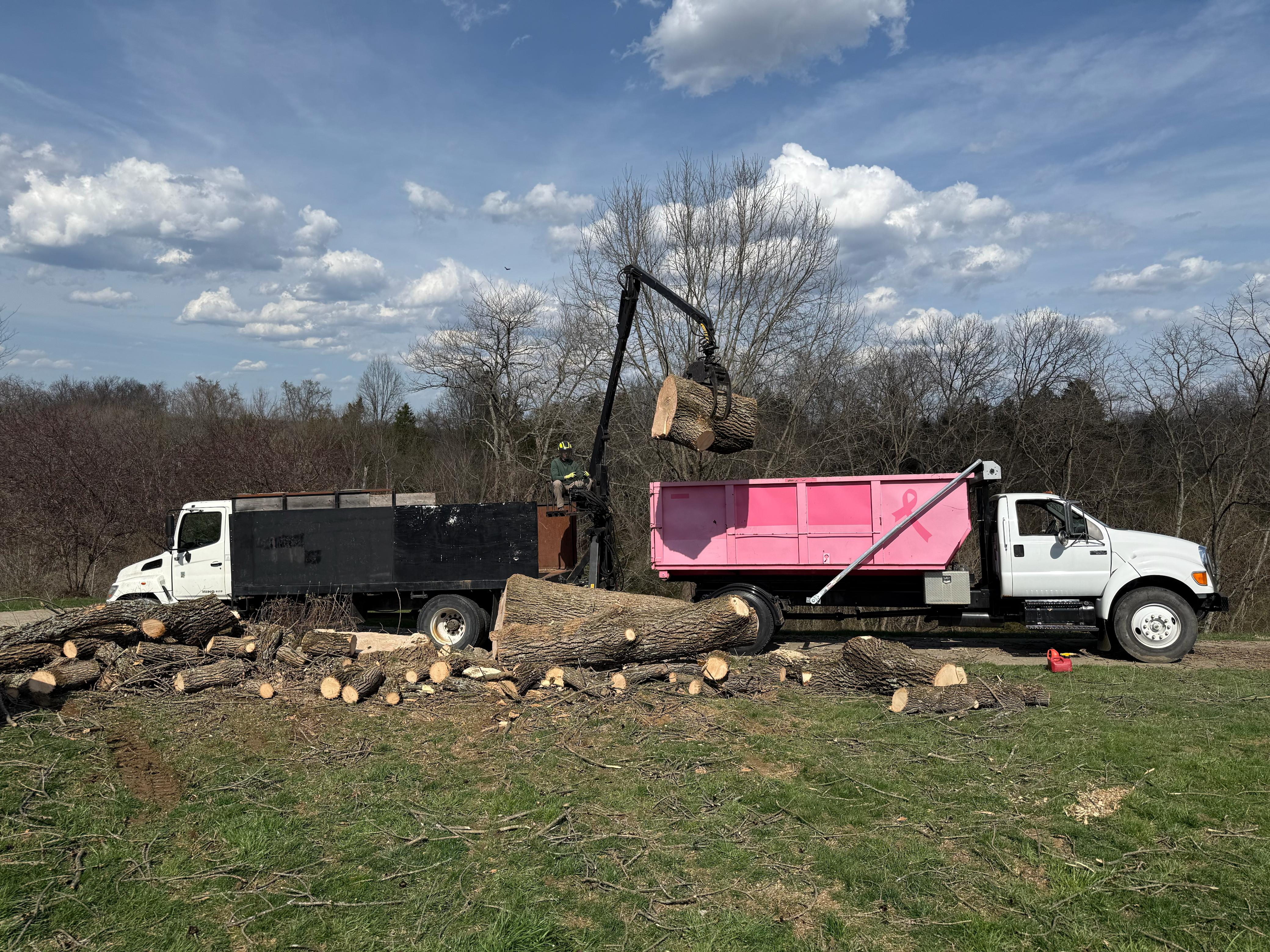MMM Tree Service large tree removal project in Harrison, Ohio