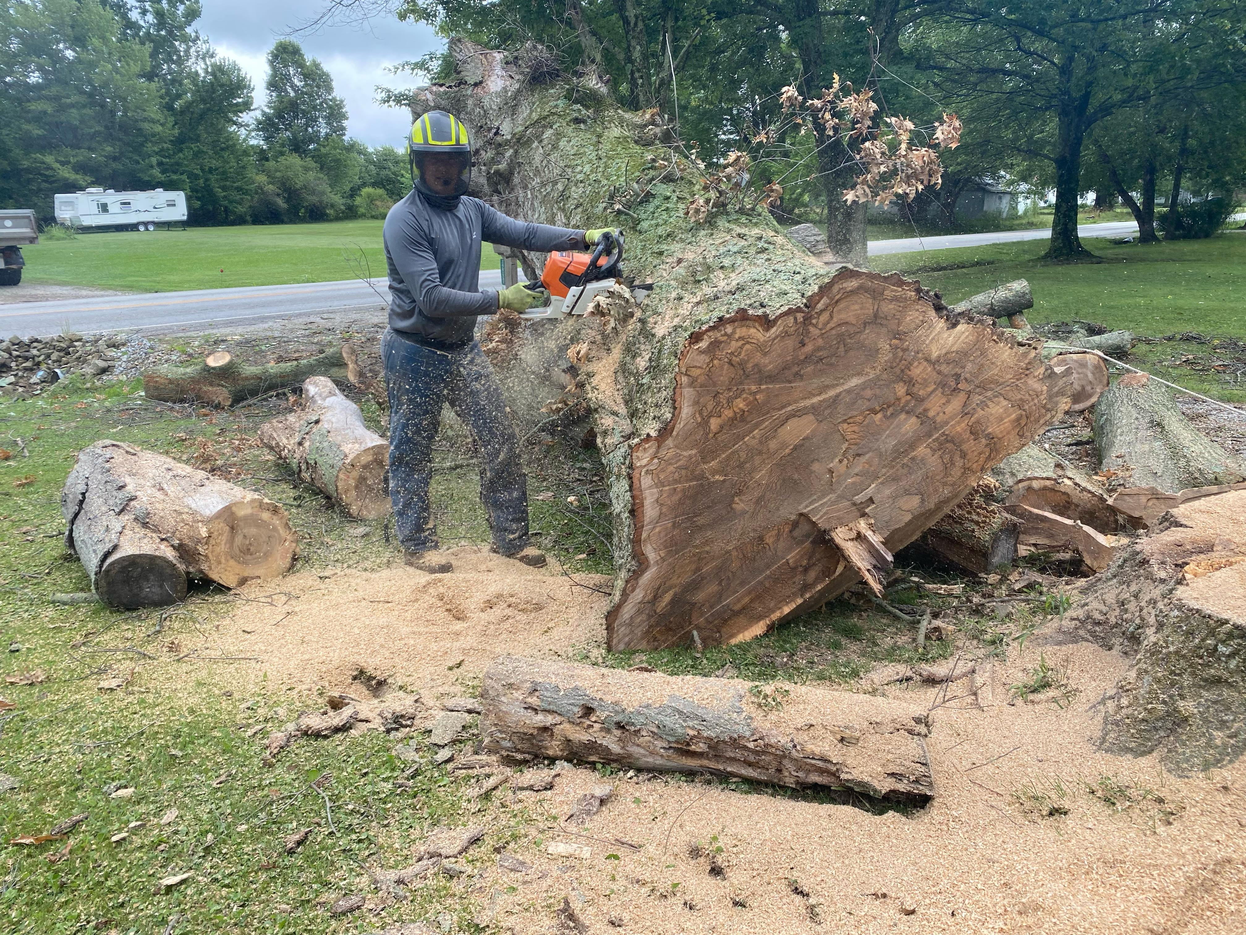 MMM Tree Service crew performing a large tree removal near a home