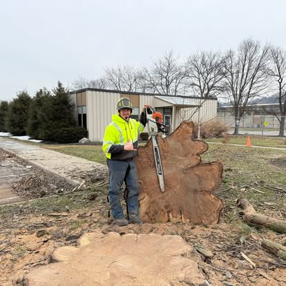 MMM Tree Service owner standing beside a large tree stump after tree work