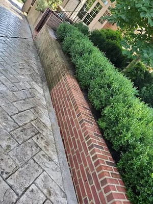 {{ custom_values.service_3 }} in {{custom_values.area_3})