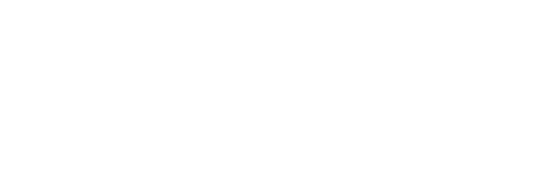 Aleyda Nails Supply logo