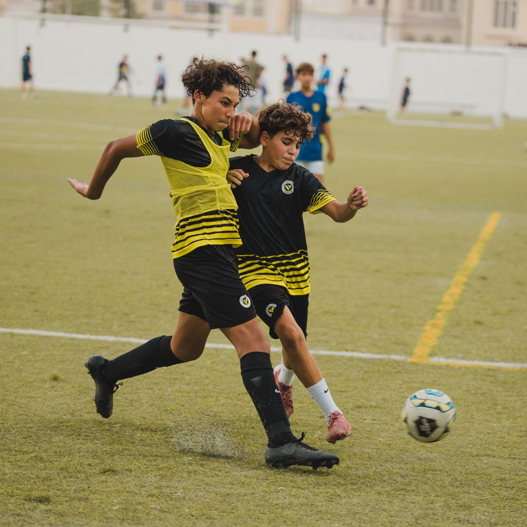 VPS Training Session