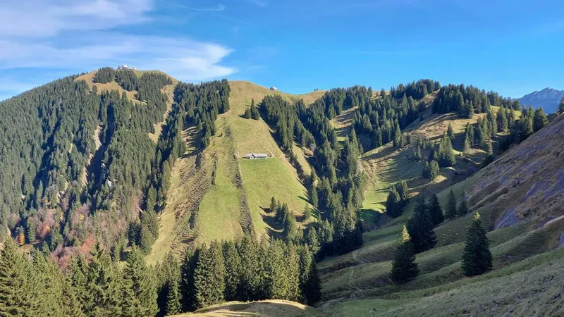 Aussicht vom Kronberg