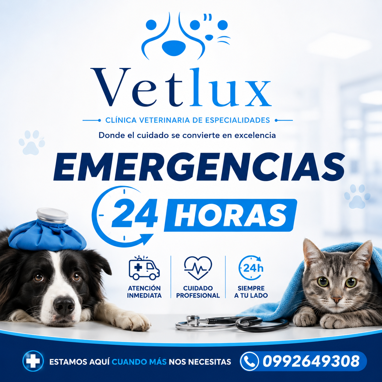 ¡Gracias por contactarnos!