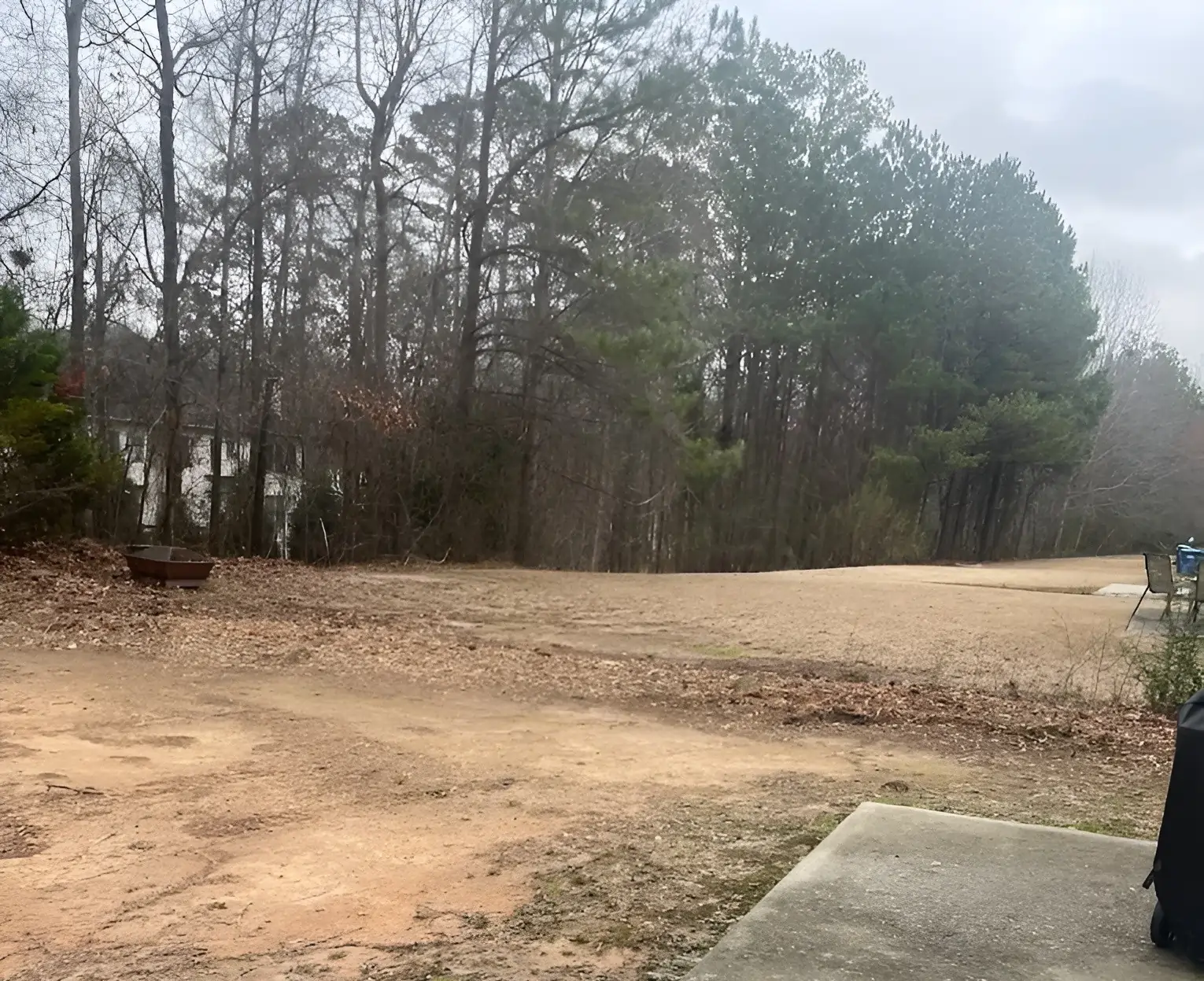 Stump Grinding Services 