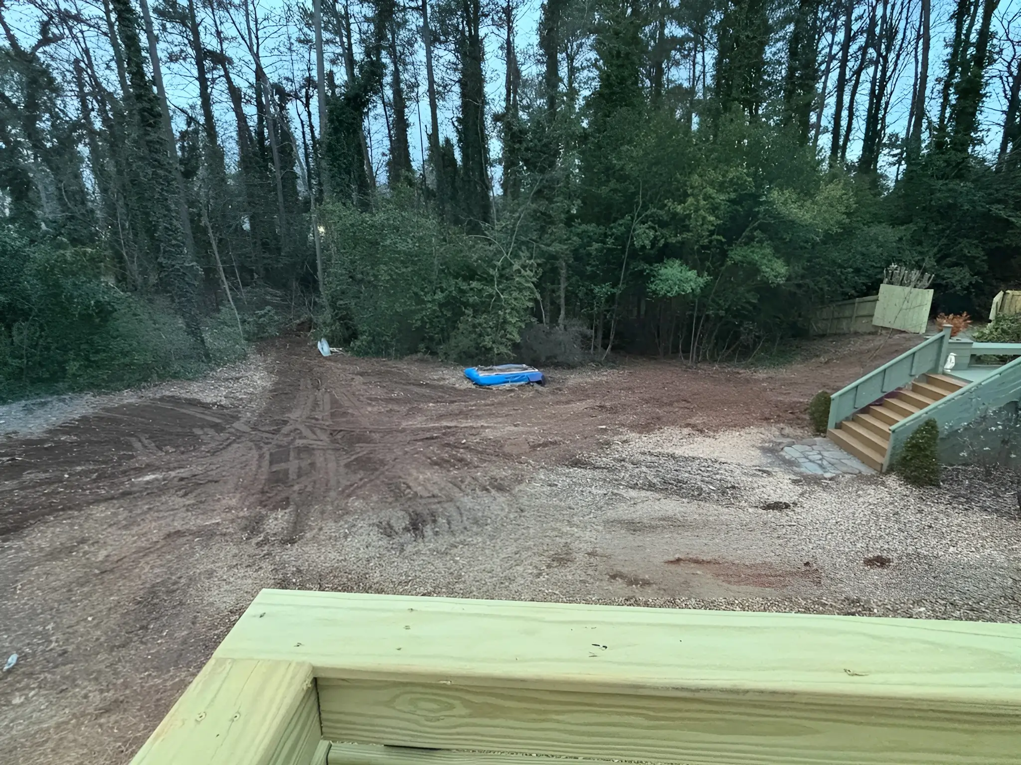 Tree Trimming Services