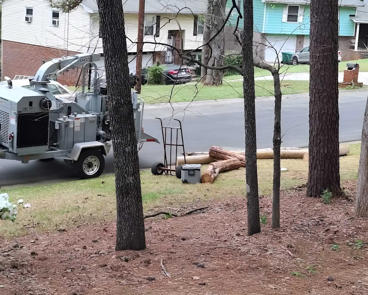 Tree Removal in Atlanta, GA