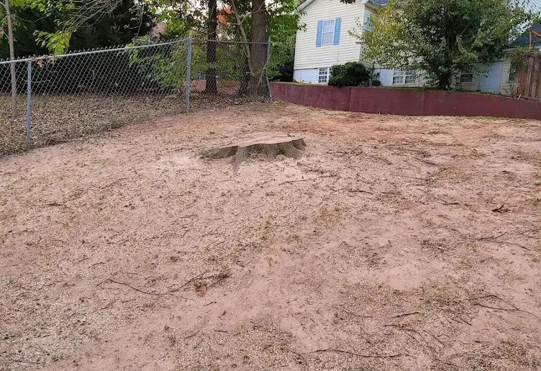 Stump Grinding Services in Atlanta, GA