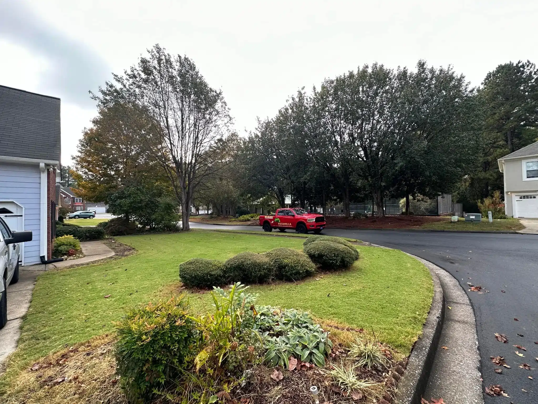 Tree Service Trusted Homeowners