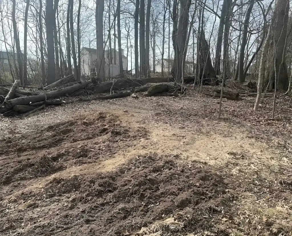 Stump Grinding Service in Atlanta, GA