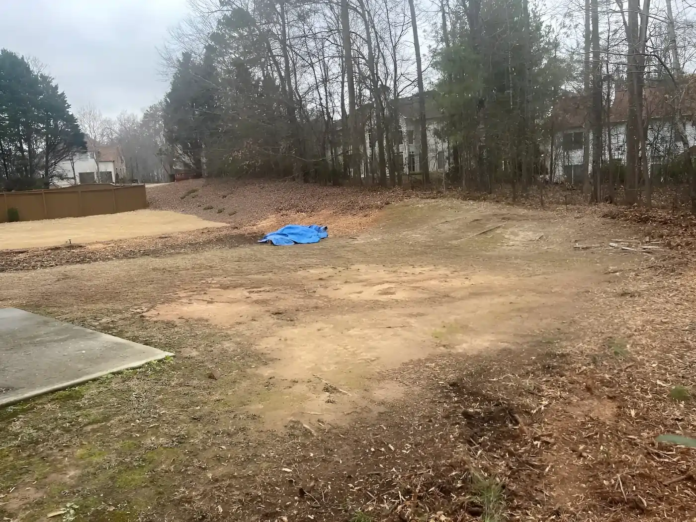 Stump Grinding Services | Escamillas Tree Serice