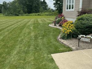 {{ custom_values.service_2 }} in {{custom_values.area_3})