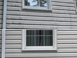 {{ custom_values.service_2 }} in {{custom_values.area_4})