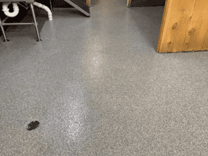 {{ custom_values.service_1 }} in {{custom_values.area_4})