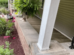 {{ custom_values.service_4 }} in {{custom_values.area_1})