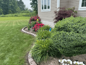 {{ custom_values.service_3 }} in {{custom_values.area_5})