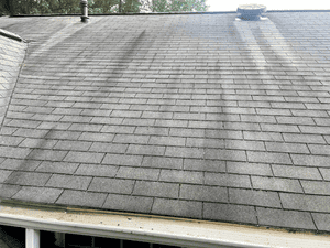 {{ custom_values.service_3 }} in {{custom_values.area_6})