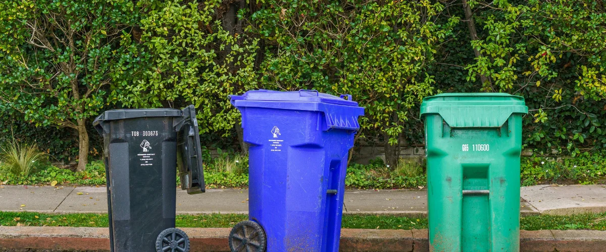 Three outdoor recycling bins lined up at the curb: a black bin, a blue bin, and a green bin, against a green hedge. Three outdoor recycling bins lined up at the curb: a black bin, a blue bin, and a green bin, against a green hedge.