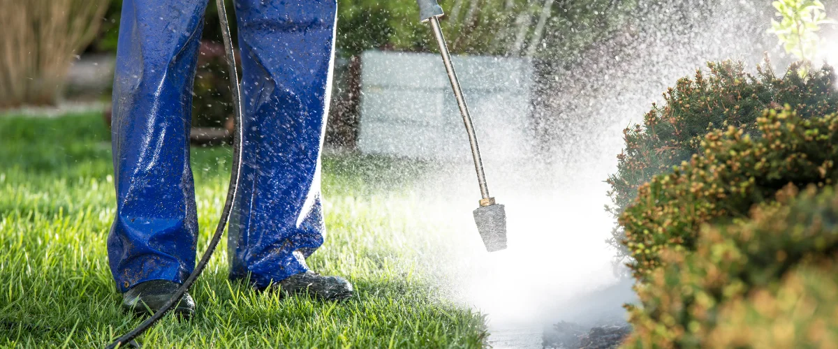 A person in blue protective pants pressure washing a green bush in a garden on a sunny day. A person in blue protective pants pressure washing a green bush in a garden on a sunny day.