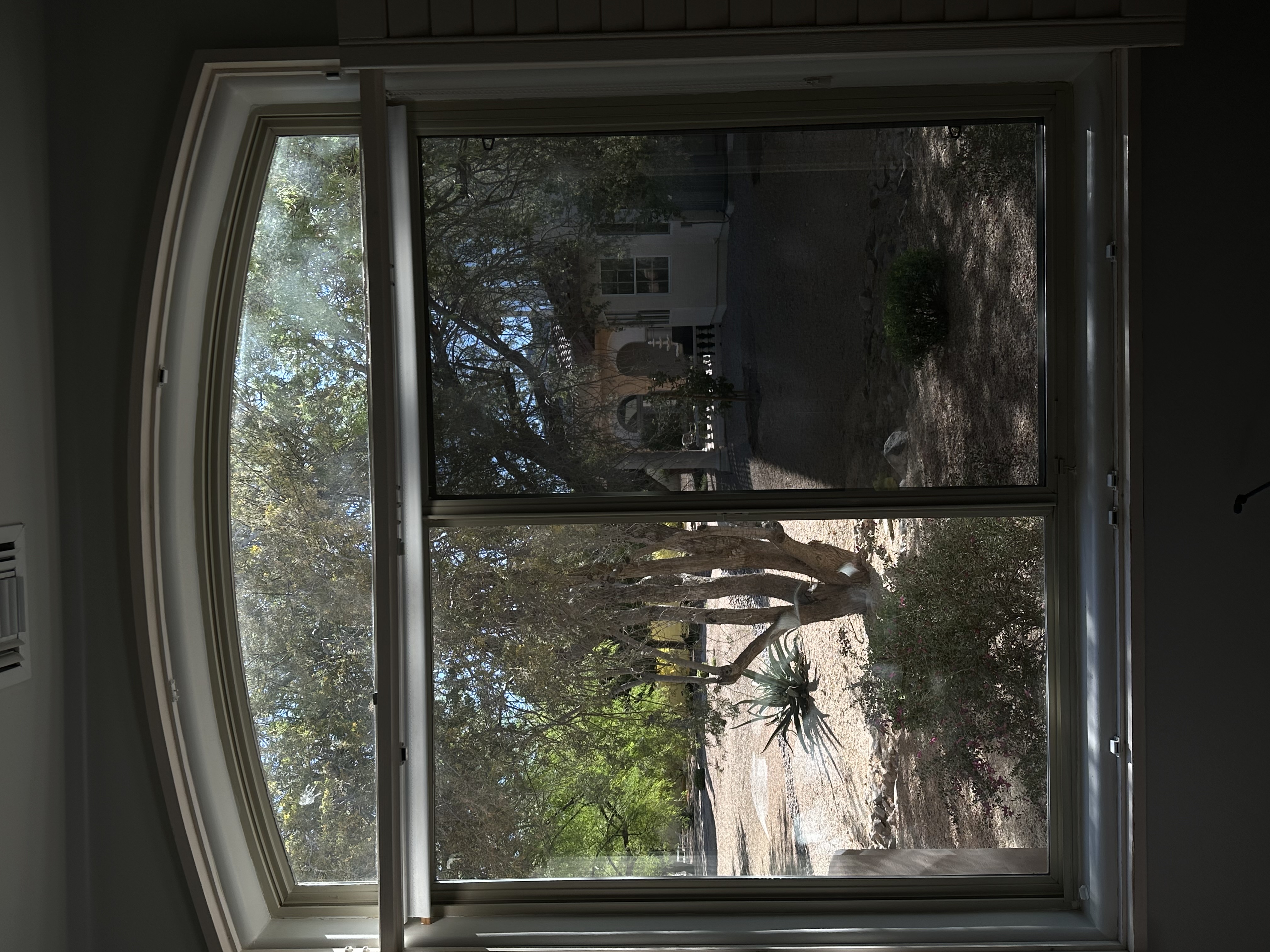 Residential window tinting — arched window with desert landscaping view