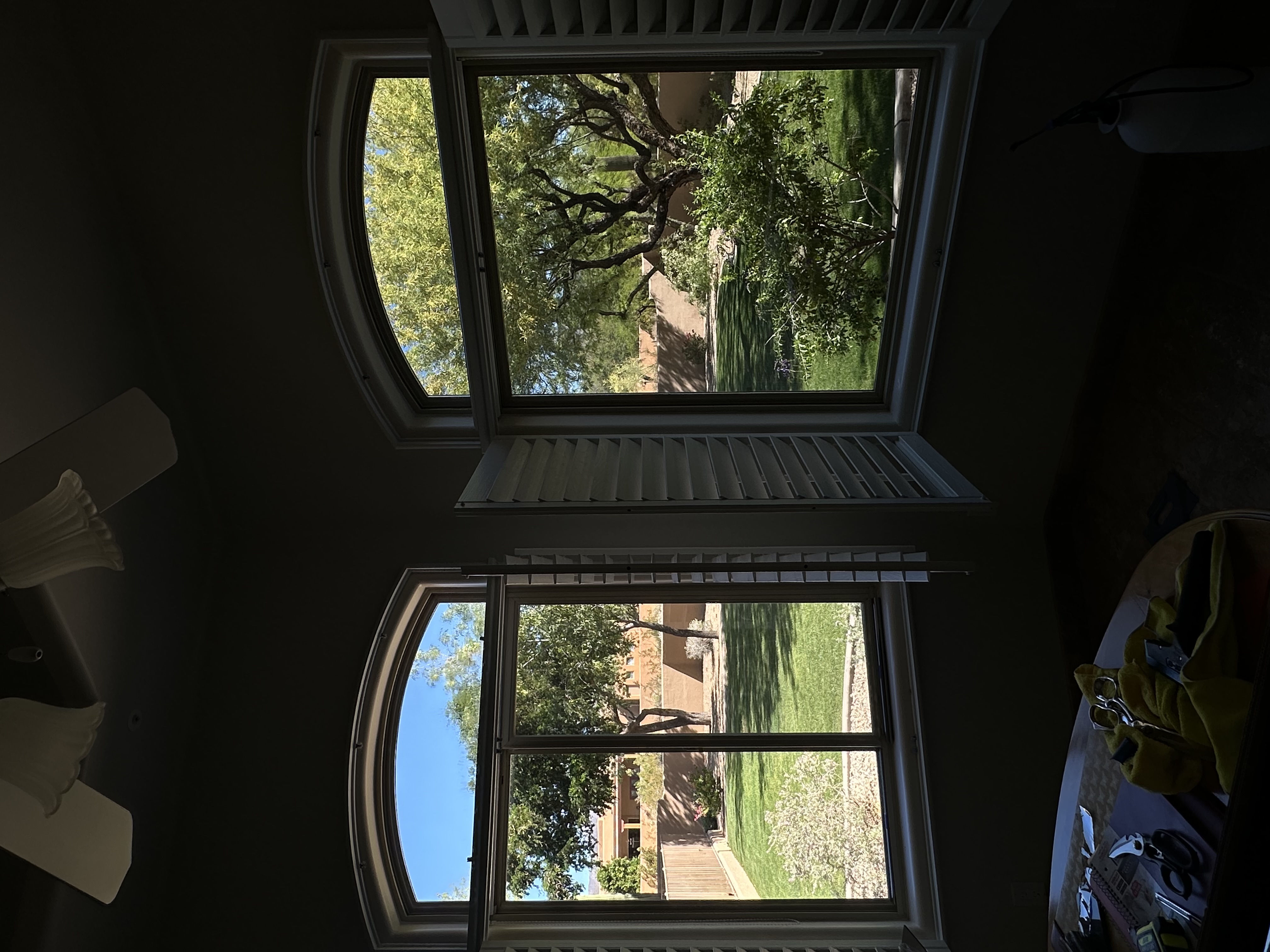 Home window tinting — arched window with desert view