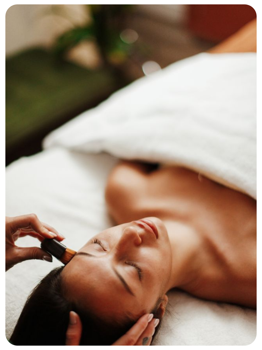 <h3>Holistic Facial</h3>