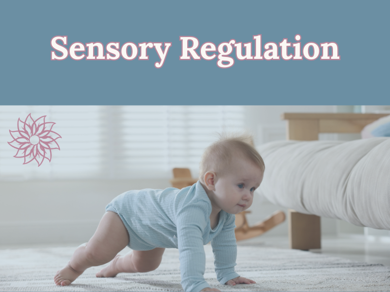 Sensory Regulation & Sleep