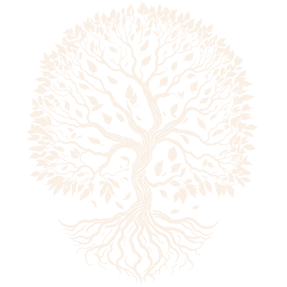 Logo Evolución