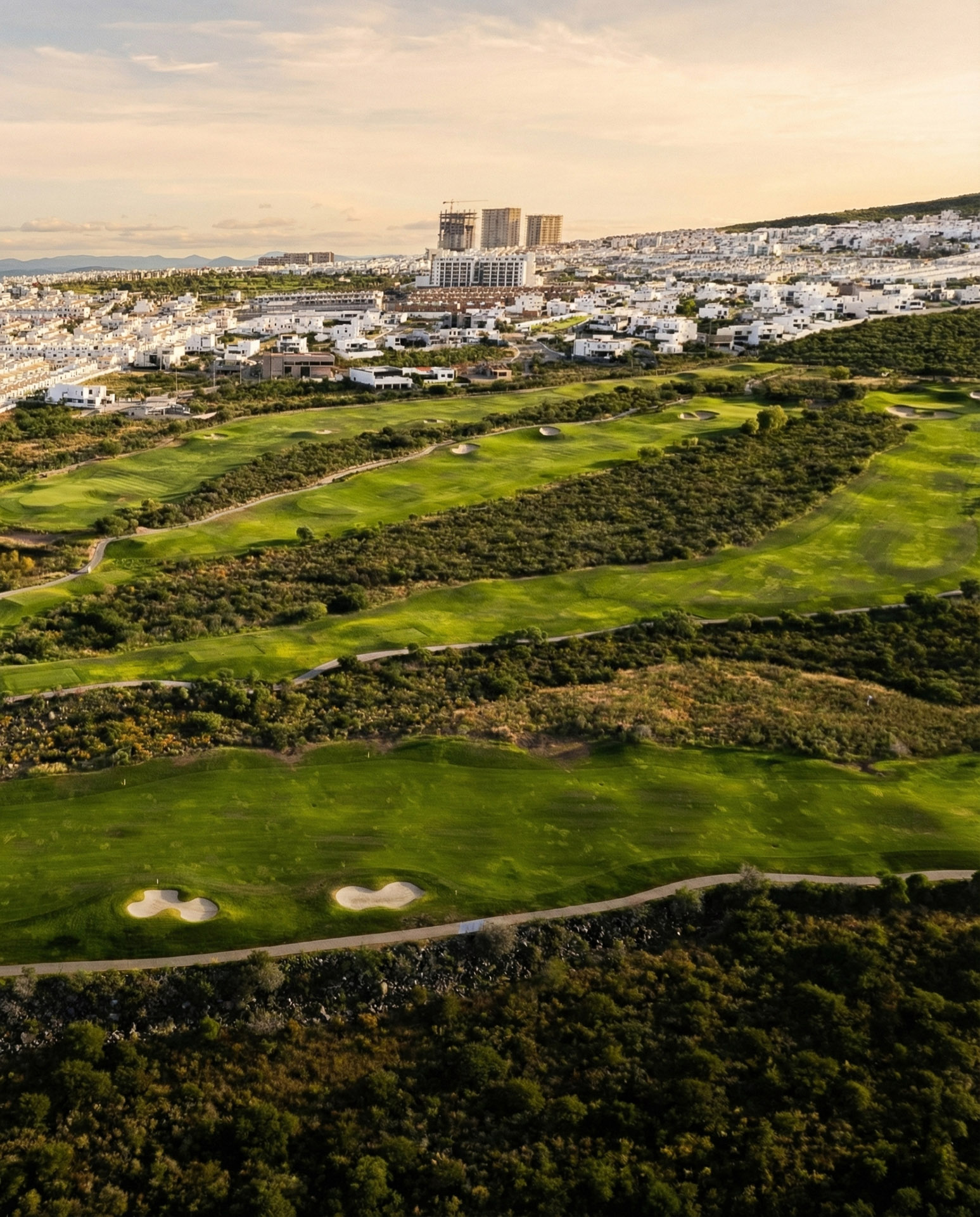 Grupo Laja - Principal