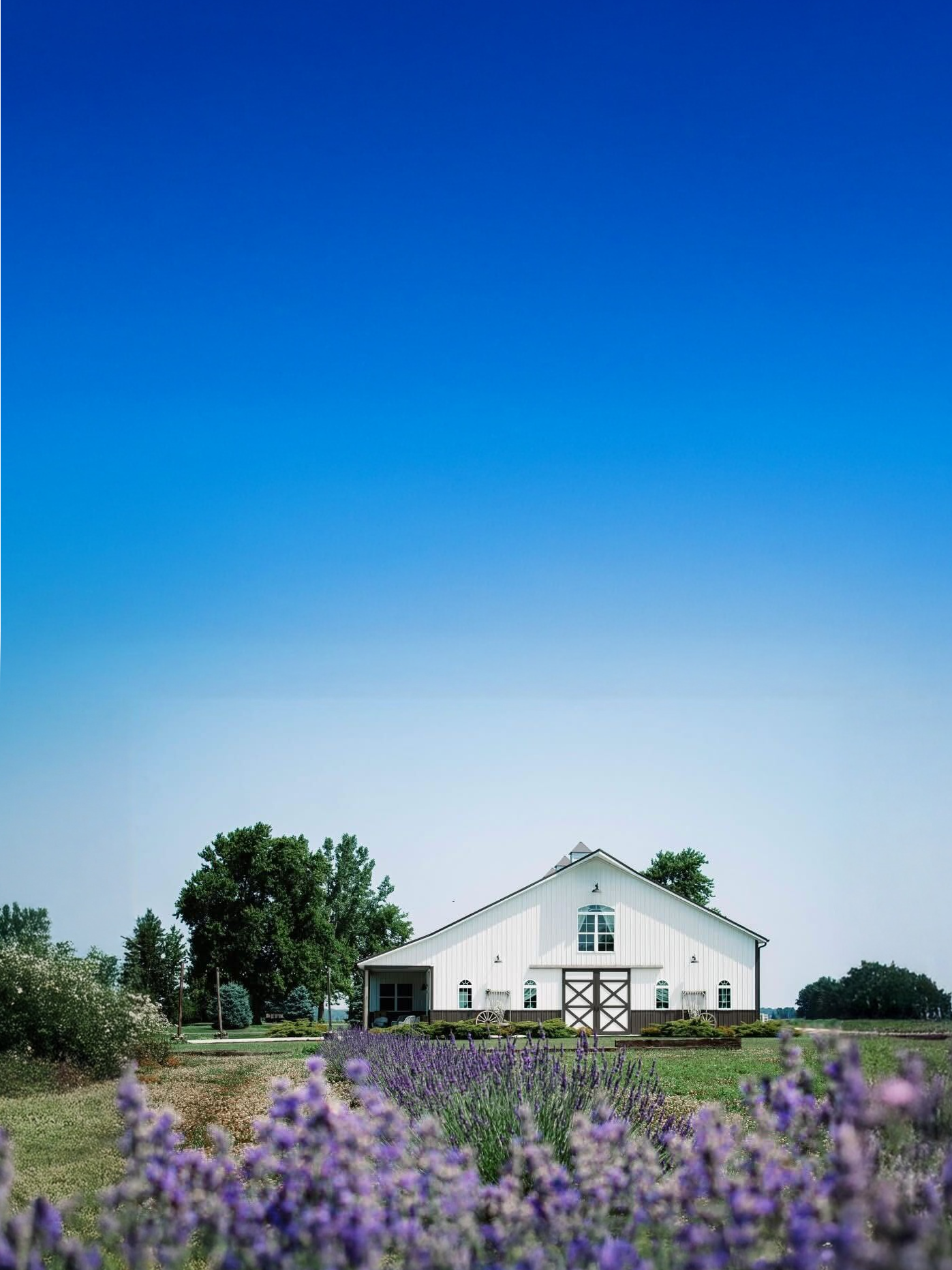 Bride and groom portrait at Shady Brook Acres