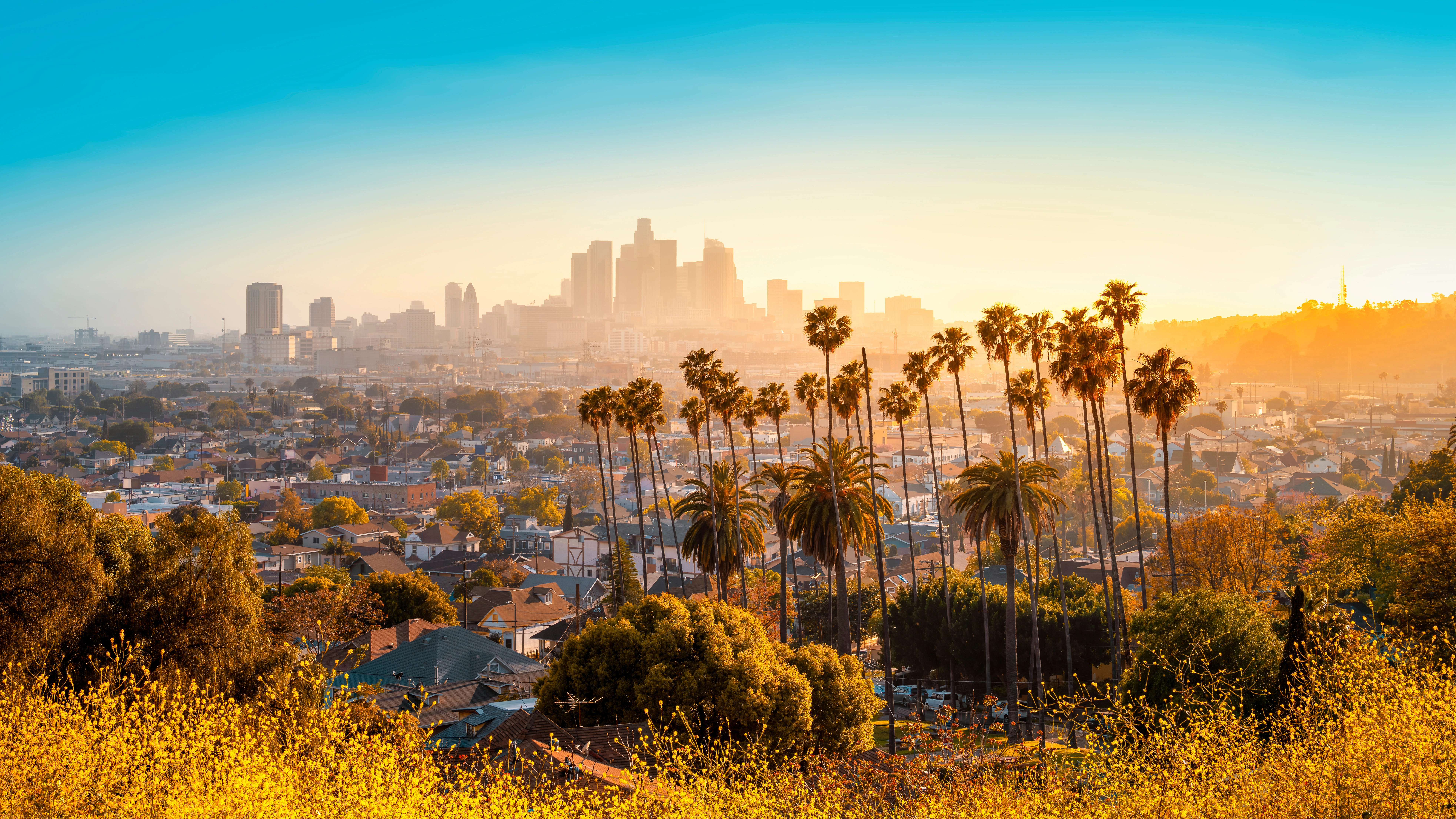 A Los Angeles project site with the city skyline behind it